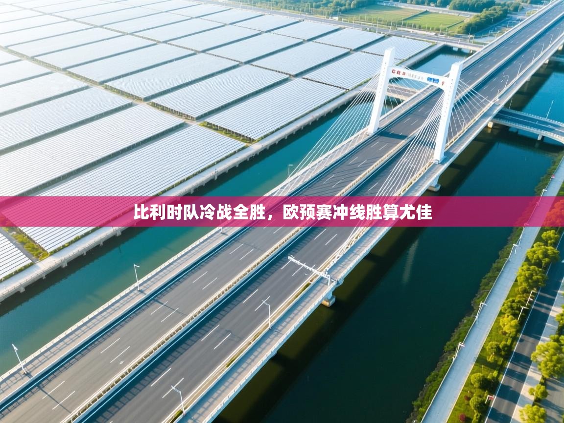 比利时队冷战全胜，欧预赛冲线胜算尤佳  第2张